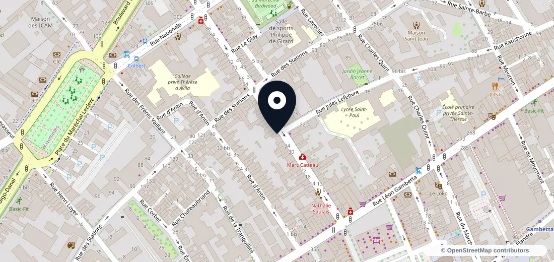 Aperçu de l’adresse de 42 Rue Colbert 59800 Lille