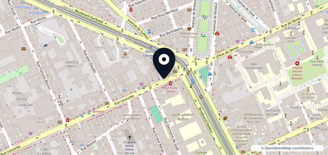 Aperçu de l’adresse de 10 Rue Lecourbe 75015 Paris