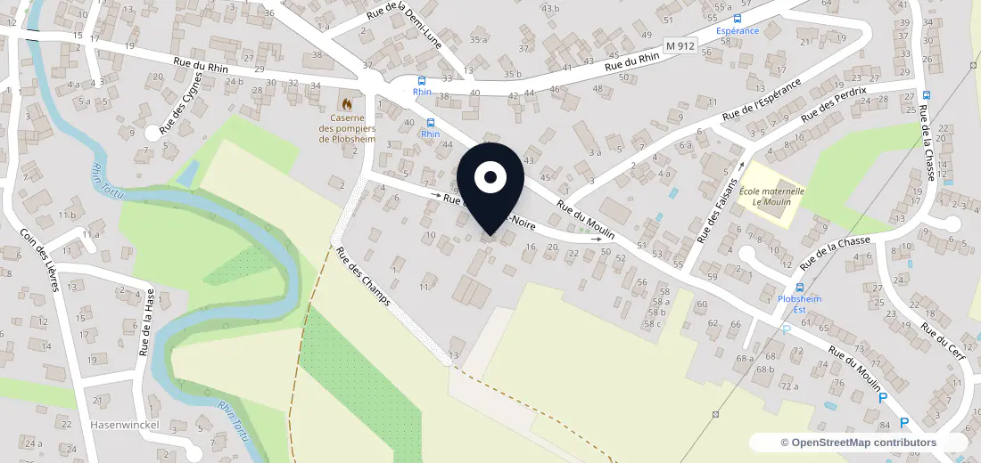 Aperçu de l’adresse de 12 Rue de la Forêt Noire 67115 Plobsheim